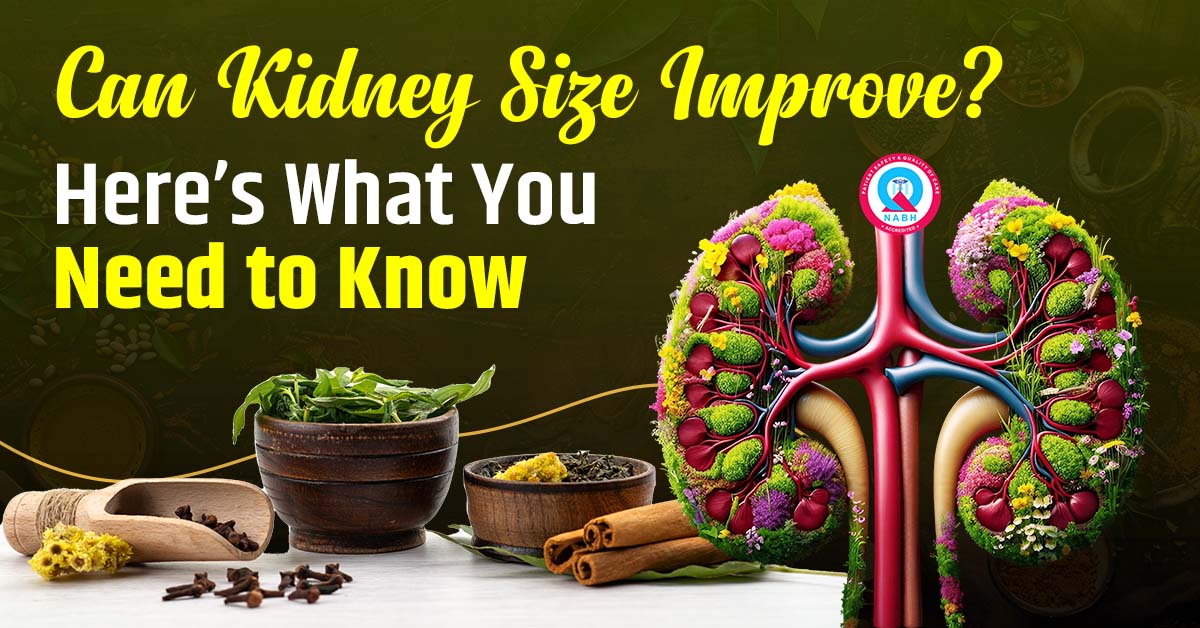 Can Kidney Size Improve? Here’s What You Need to Know